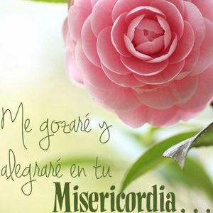 Meet your Posher, Luz maria